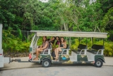 transportation