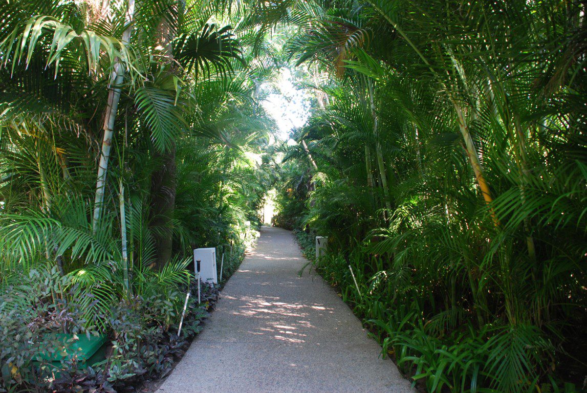 walking path vidanta