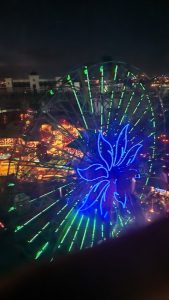 skywheel at night