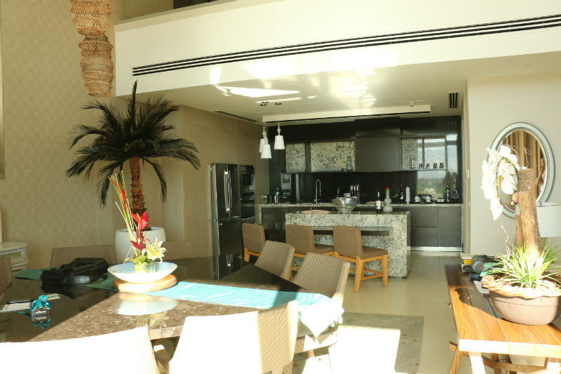 loft gourmet kitchen
