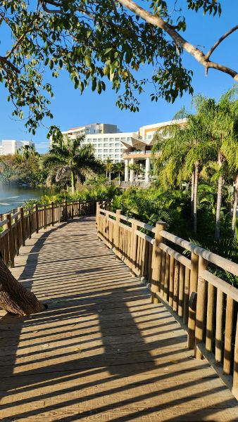 Vidanta Nuevo Vallarta Resort Mexico