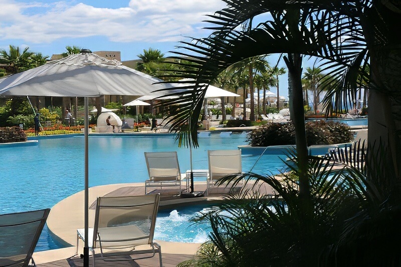 Plant framed pool scene los cabos